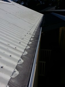 GumLeaf's Stainless Steel on a Corrugated Roof